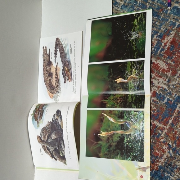 Scholastic Misc.Authors Animal Themed Book Set of 4 Paperback Books - Picture 5 of 5